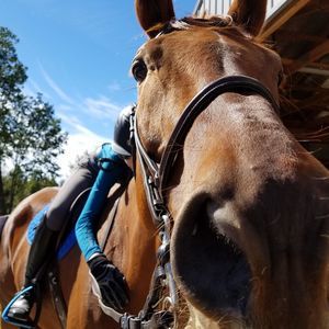 Meet your Posher, Liz